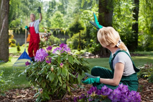 Logo and welcoming illustration representing accessible garden services in Southgate