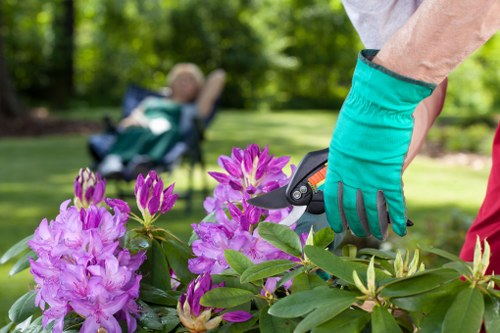 DIY hedge trimming tools and techniques