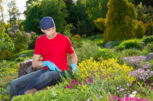 Environmentally responsible tree removal practices