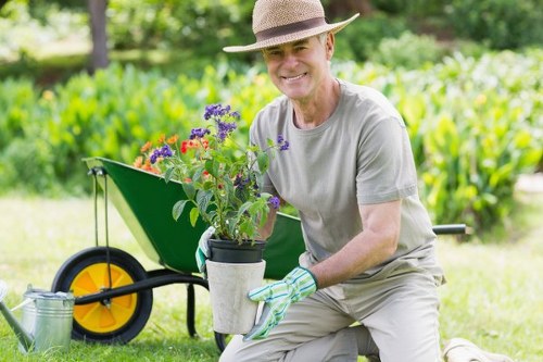 Lawn mowing and edging in a suburban Southgate garden