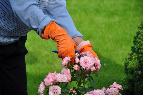 Cost comparison of lawn mowing services in Southgate