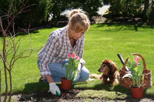 Happy clients enjoying their maintained garden
