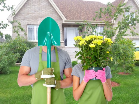 Professional landscapers trimming hedges in Southgate