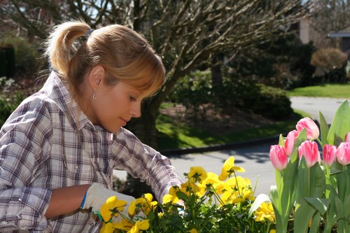 Gardener pruning shrubs in Southgate garden