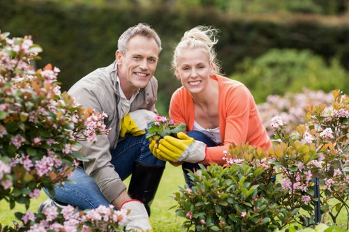 Seasonal hedge trimming maintaining garden beauty